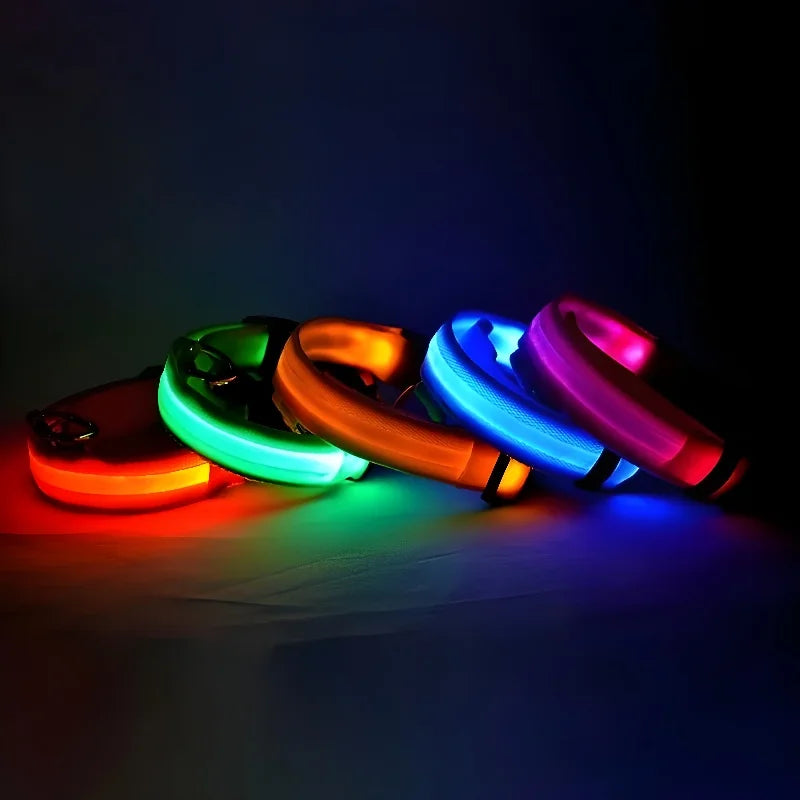 Collar Led para Perros