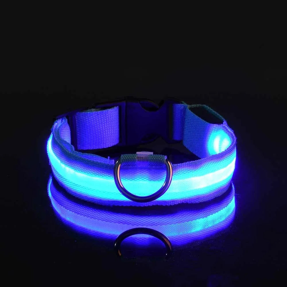 Collar Led para Perros