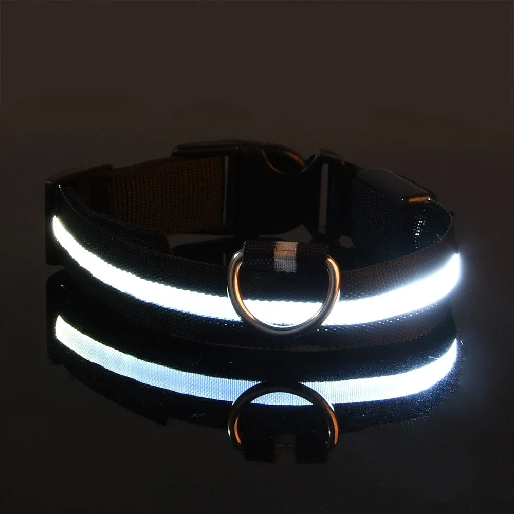 Collar Led para Perros