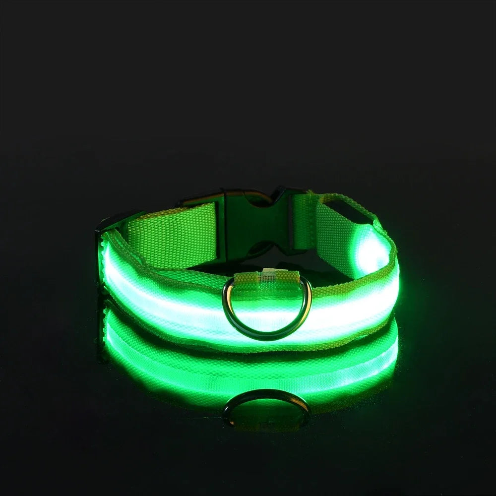 Collar Led para Perros