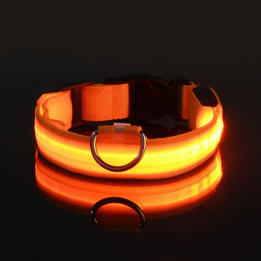 Collar Led para Perros