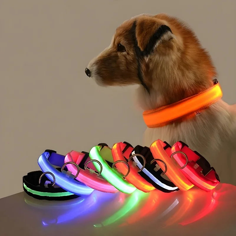 Collar Led para Perros