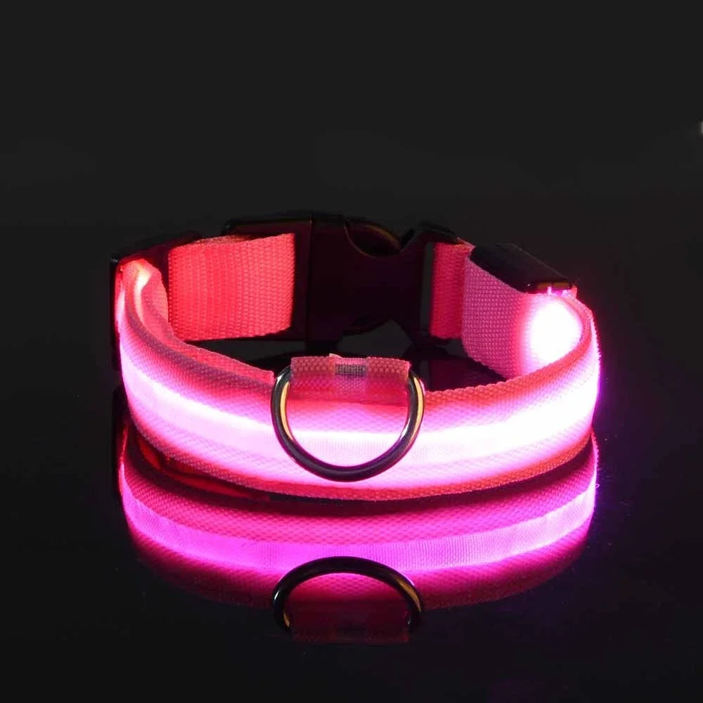 Collar Led para Perros