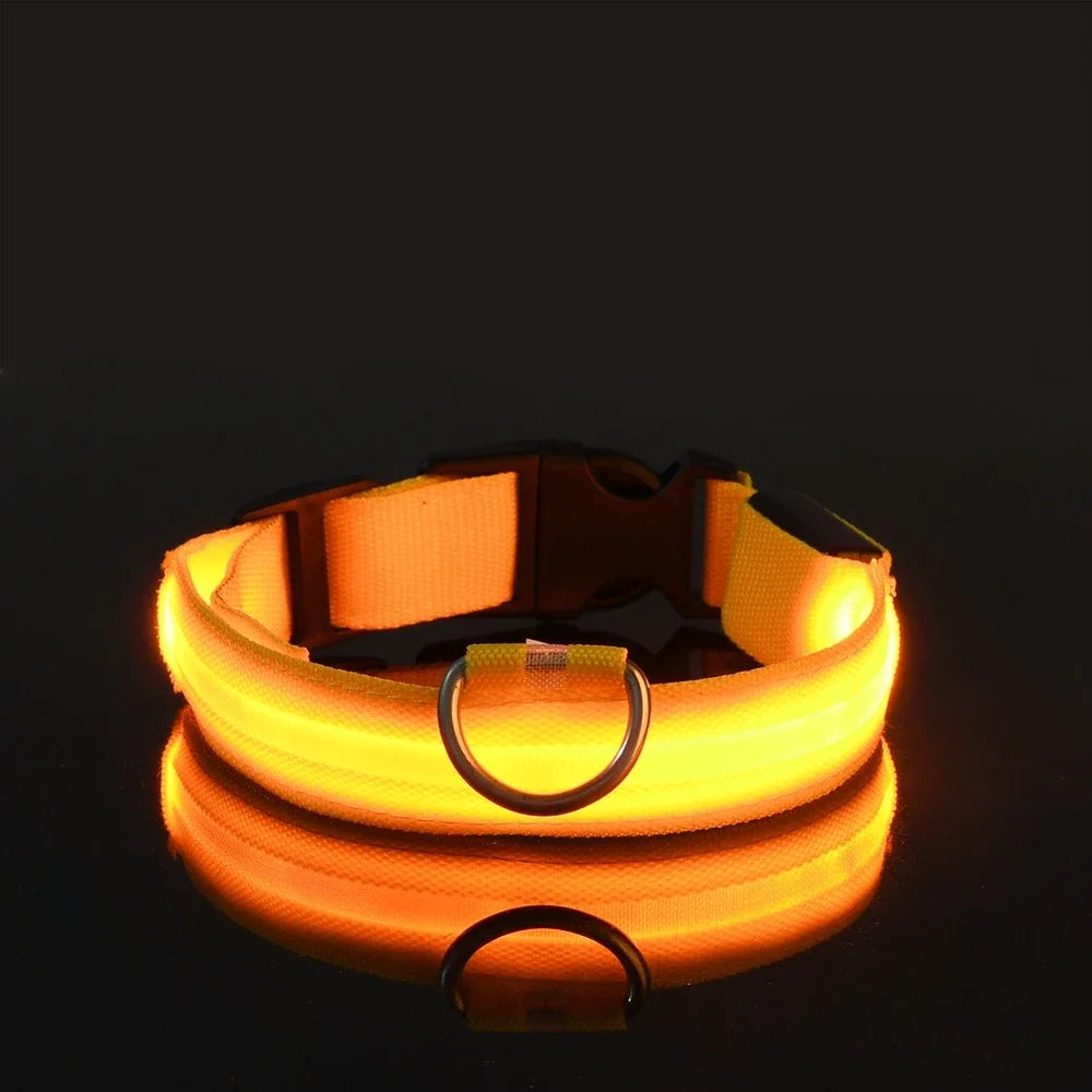 Collar Led para Perros