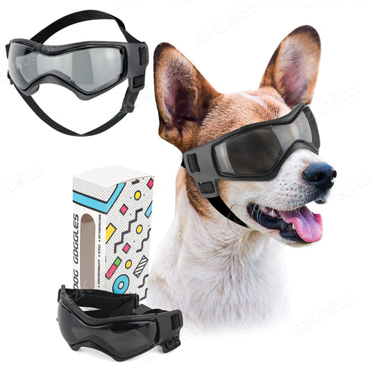 Gafas para Perro